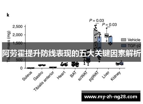阿劳霍提升防线表现的五大关键因素解析 阿劳霍提升防线表现的五大关键因素解析
