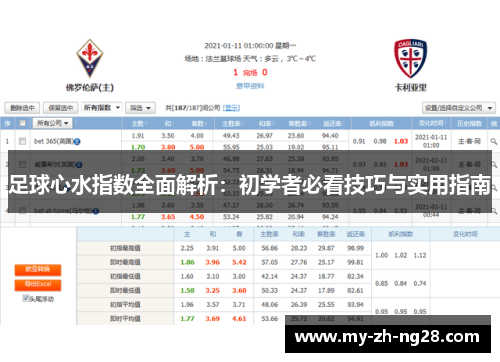 足球心水指数全面解析：初学者必看技巧与实用指南