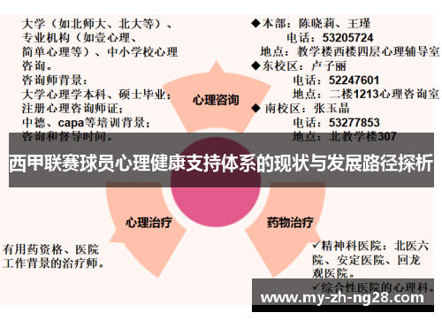 西甲联赛球员心理健康支持体系的现状与发展路径探析