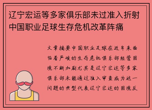 辽宁宏运等多家俱乐部未过准入折射中国职业足球生存危机改革阵痛